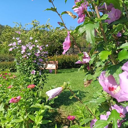 Apartamentos Calm & Nature - Adults Only Cabezon de Liebana ภายนอก รูปภาพ