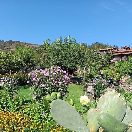 Apartamentos Calm & Nature - Adults Only Cabezon de Liebana ภายนอก รูปภาพ