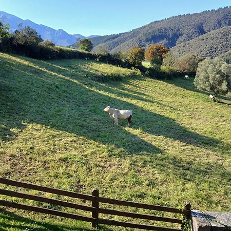 Apartamentos Calm & Nature - Adults Only Cabezon de Liebana ภายนอก รูปภาพ
