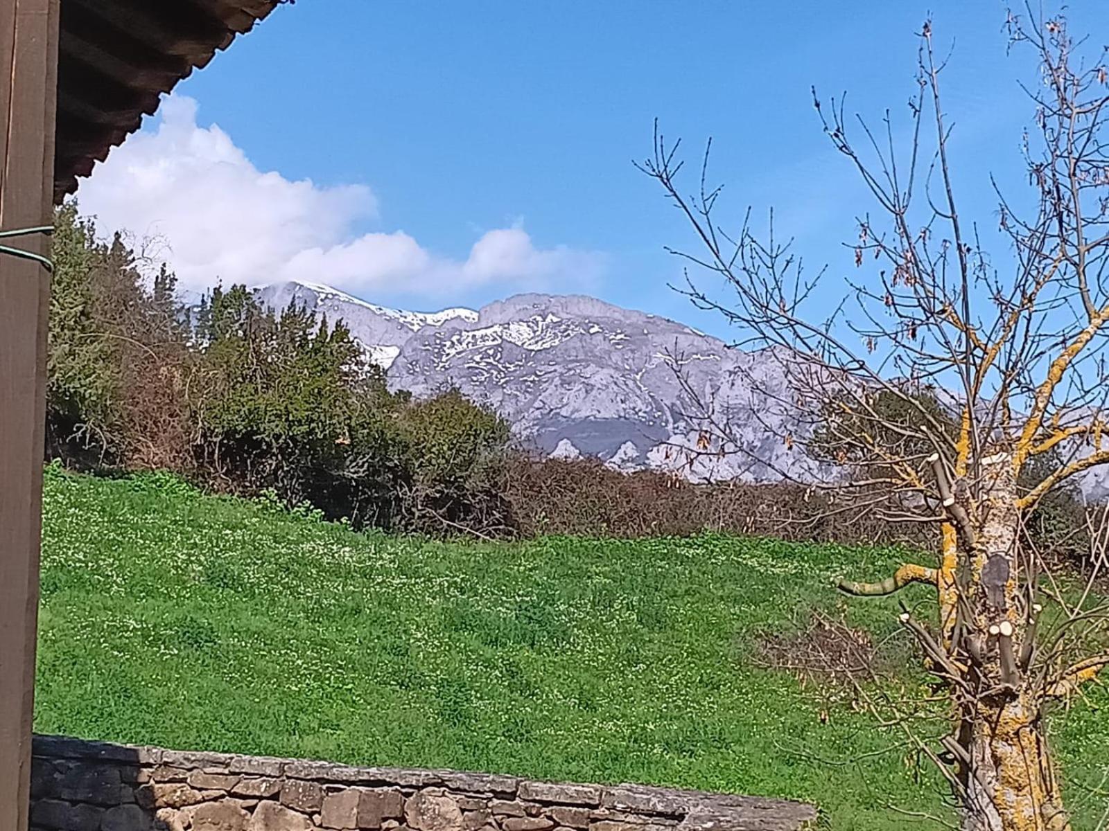 Apartamentos Calm & Nature - Adults Only Cabezon de Liebana ภายนอก รูปภาพ