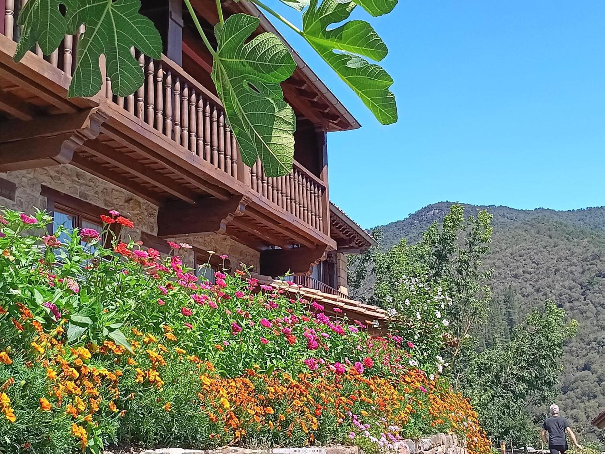 Apartamentos Calm & Nature - Adults Only Cabezon de Liebana ภายนอก รูปภาพ