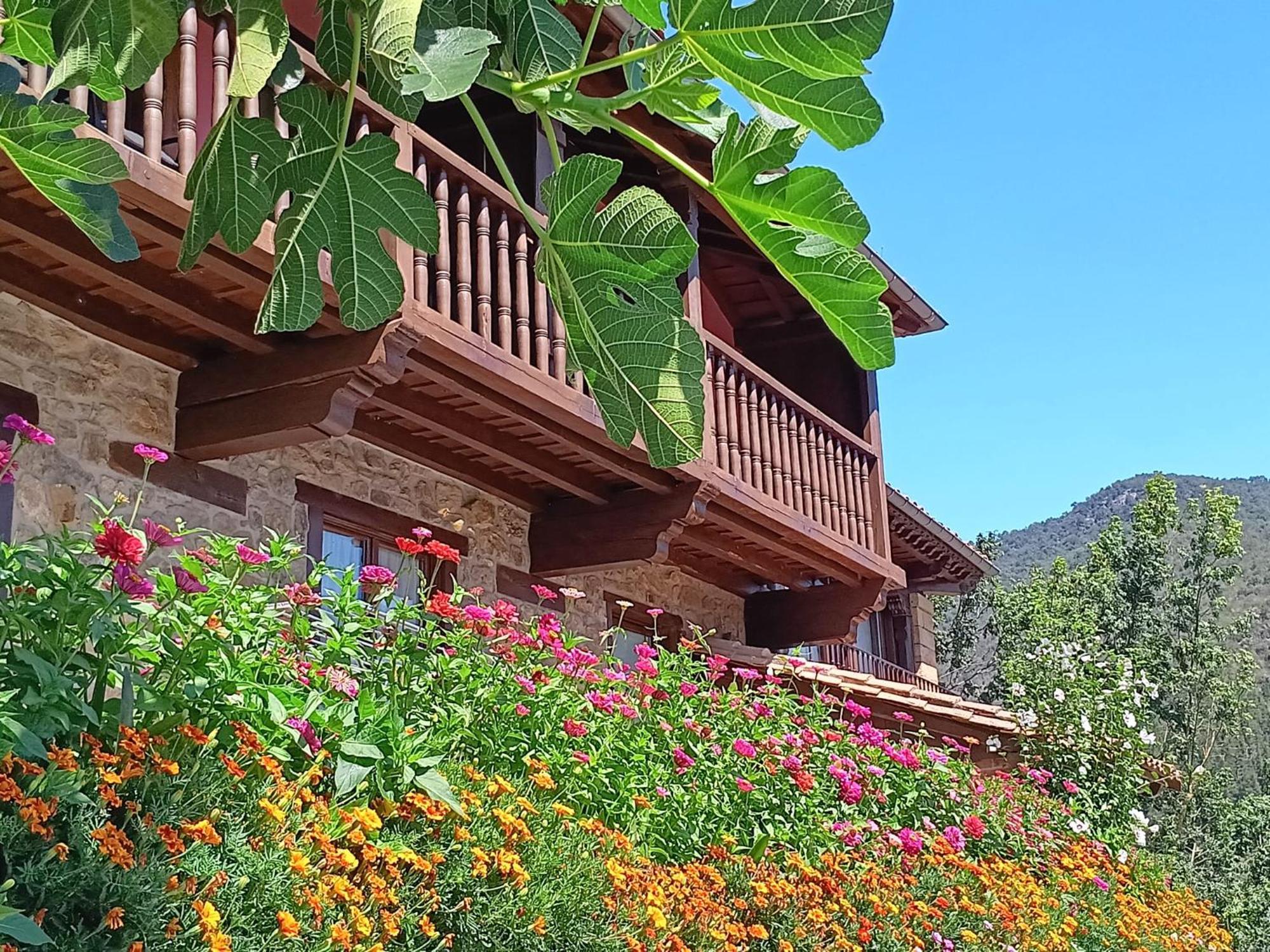 Apartamentos Calm & Nature - Adults Only Cabezon de Liebana ภายนอก รูปภาพ