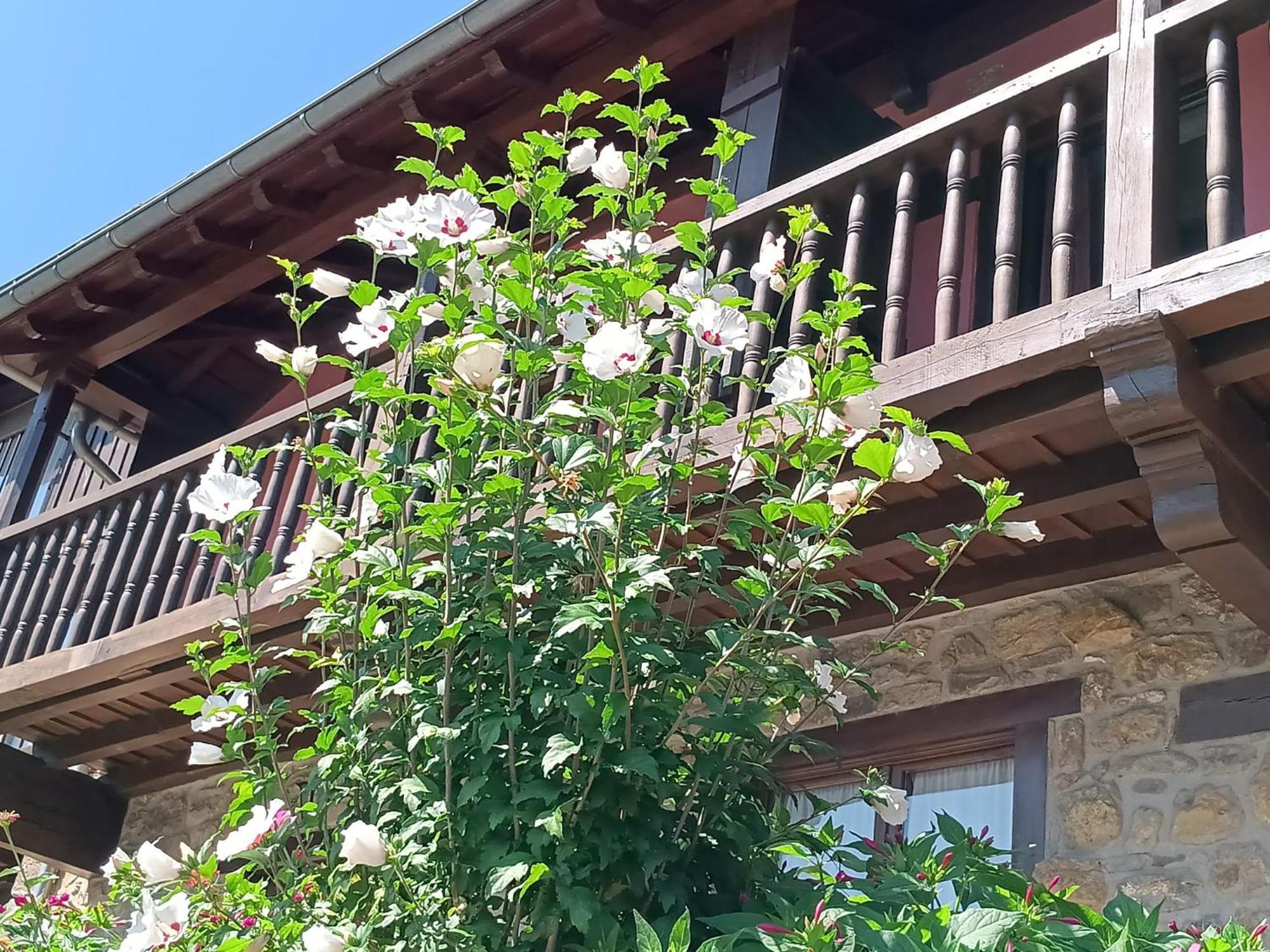 Apartamentos Calm & Nature - Adults Only Cabezon de Liebana ภายนอก รูปภาพ