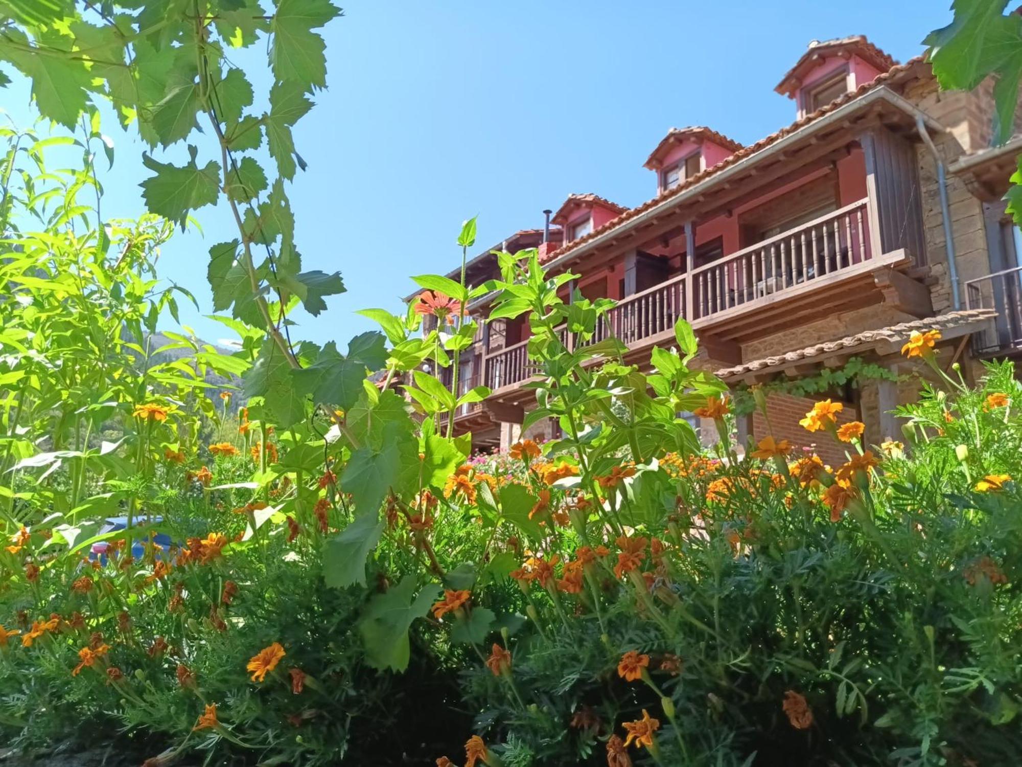 Apartamentos Calm & Nature - Adults Only Cabezon de Liebana ภายนอก รูปภาพ