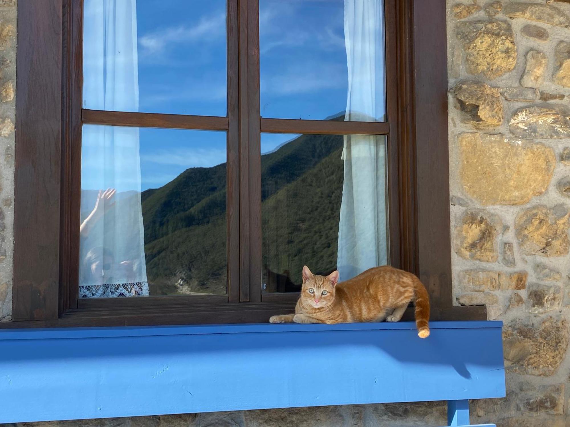 Apartamentos Calm & Nature - Adults Only Cabezon de Liebana ภายนอก รูปภาพ