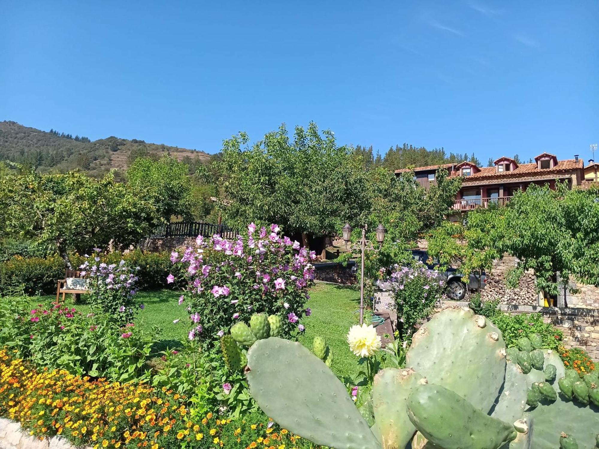 Apartamentos Calm & Nature - Adults Only Cabezon de Liebana ภายนอก รูปภาพ